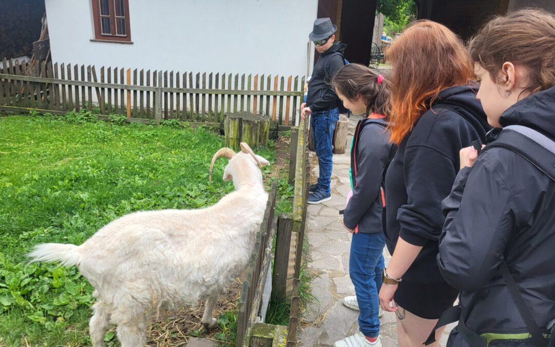 Exkurze do Zooparku ve Vyškově